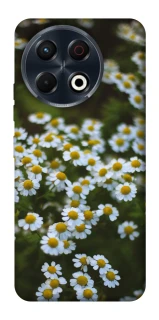 Чехол на TECNO Spark 30 Pro (KL7) Ромашки v13 фото 1 из 1