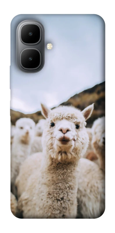 Чохол на Infinix Smart 10 Лама фото 1 з 1