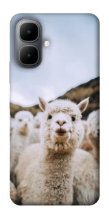 Чохол на Infinix Smart 10 Лама фото 1 з 1