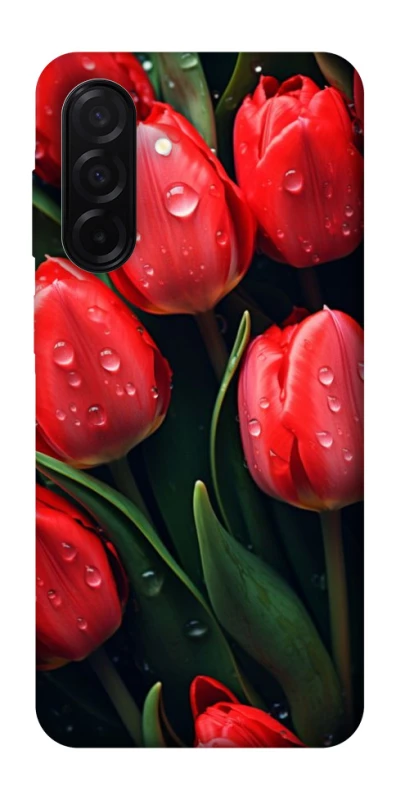 Чехол на Samsung Galaxy A26 5G Красные тюльпаны фото 1 из 1