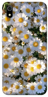 Чохол на Xiaomi Redmi 7A Поле ромашок фото 1 з 1