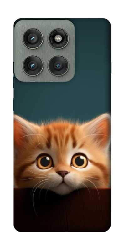 Чохол на Motorola Edge 60 Pro Чохол Кошеня фото 1 з 1