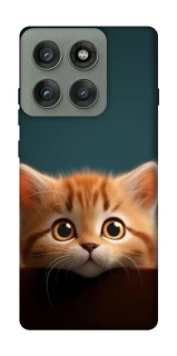 Чохол на Motorola Edge 60 Pro Чохол Кошеня фото 1 з 1