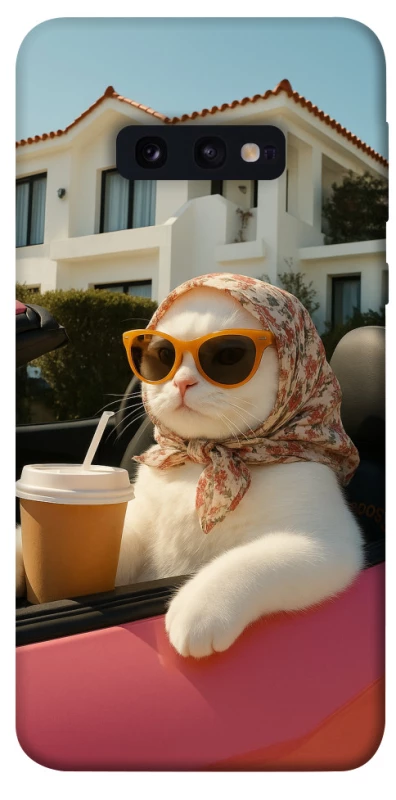 Чохол на Samsung Galaxy S10e Stylish Cat Cruise фото 1 з 1