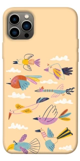 Чохол на Apple iPhone 12 Pro (6.1") Переліт фото 1 з 1