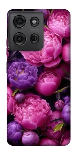 Чохол на Motorola Moto G75 Garden2 фото 1 з 1