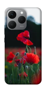 Чохол на Realme 15T Мак фото 1 з 1