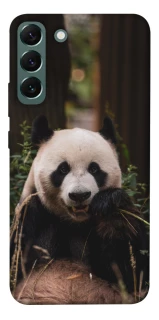 Чохол на Samsung Galaxy S22+ Панда фото 1 з 1
