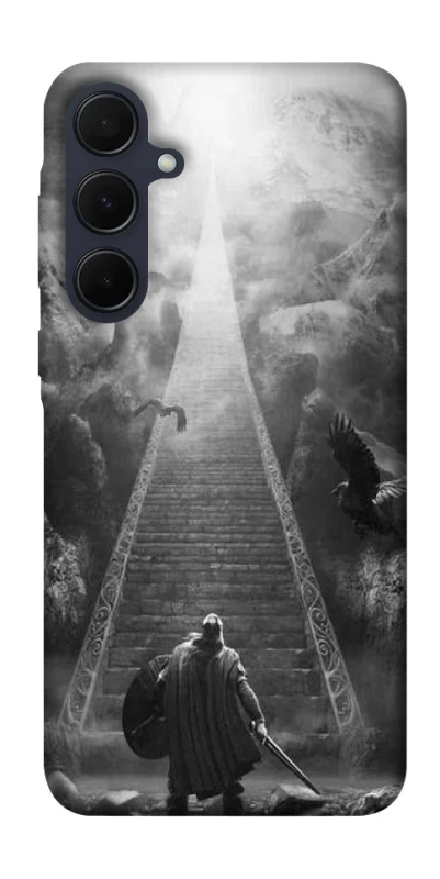 Чехол на Samsung Galaxy A55 Valhalla фото 1 из 1