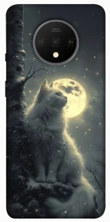 Чехол на OnePlus 7T Кот под луной фото 1 из 1