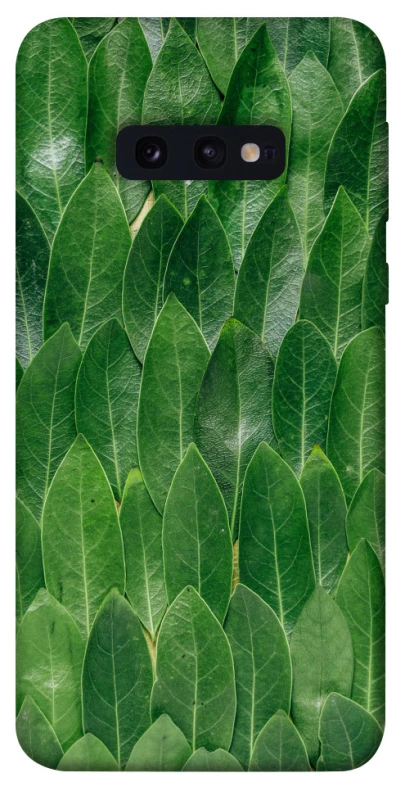 Чехол на Samsung Galaxy S10e Листья фото 1 из 1