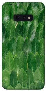 Чохол на Samsung Galaxy S10e Листя фото 1 з 1