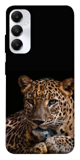 Чохол на Samsung Galaxy A05s Leopard v4 фото 1 з 1