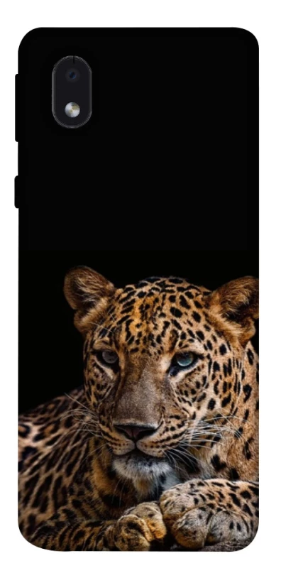Чехол на Samsung Galaxy M01 Core / A01 Core Leopard v4 фото 1 из 1