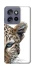 Чехол на Motorola Edge 50 Neo Leopard Art v2 фото 1 из 1