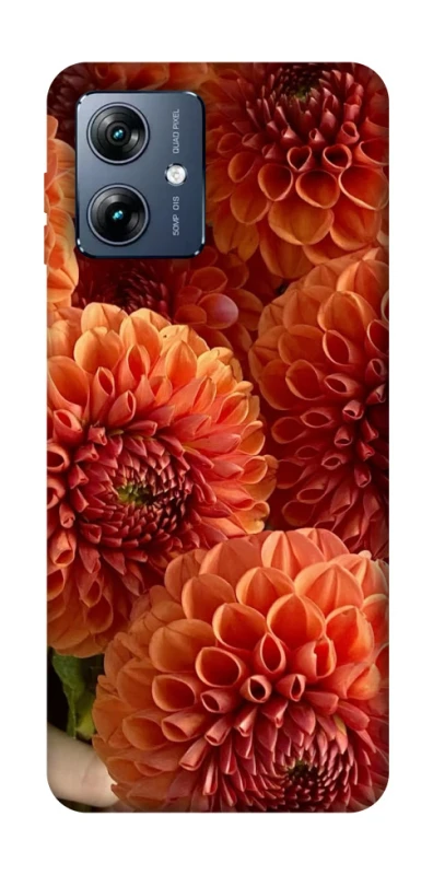 Чохол на Motorola Moto G54 Power Flower1 фото 1 з 1
