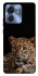 Чохол на Motorola Edge 40 Leopard v4 фото 1 з 1