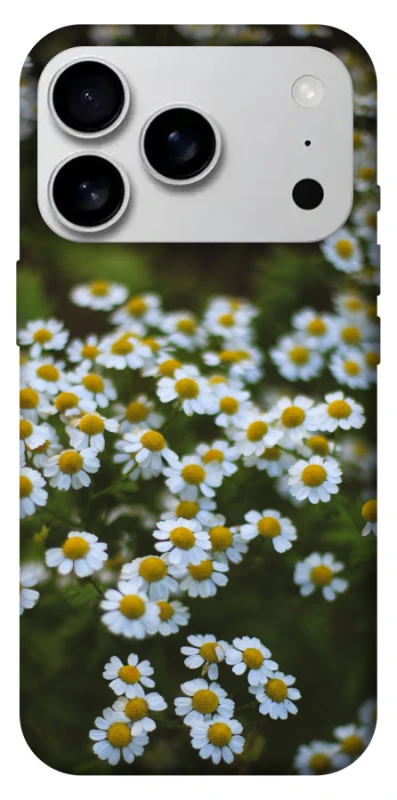 Чехол на Apple iPhone 17 Pro Max (6.9") Ромашки v13 фото 1 из 1