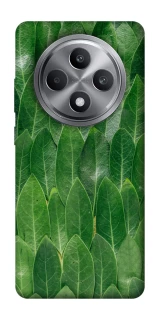 Чехол на Oppo Reno 12 F 4G Листья фото 1 из 1