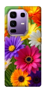 Чохол на Infinix Note 50 Pro+ Flowers v32 фото 1 з 1