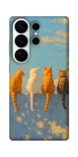 Чохол на Samsung Galaxy S26 Pro cats on wall фото 1 з 1