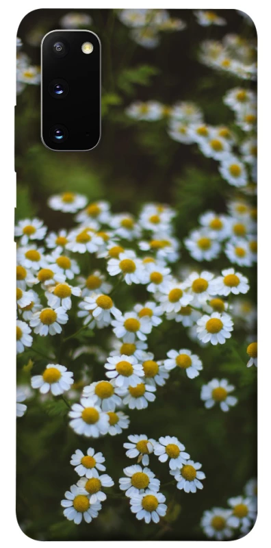 Чехол на Samsung Galaxy S20 Ромашки v13 фото 1 из 1