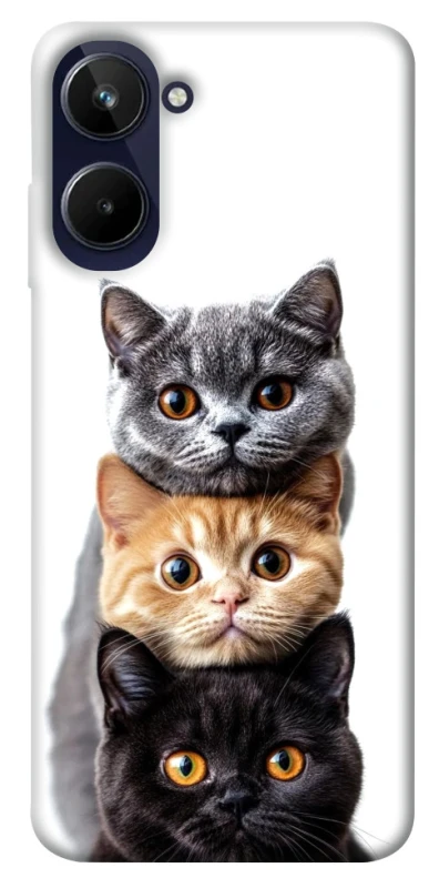 Чохол на Realme 10 4G Гарні котики фото 1 з 1