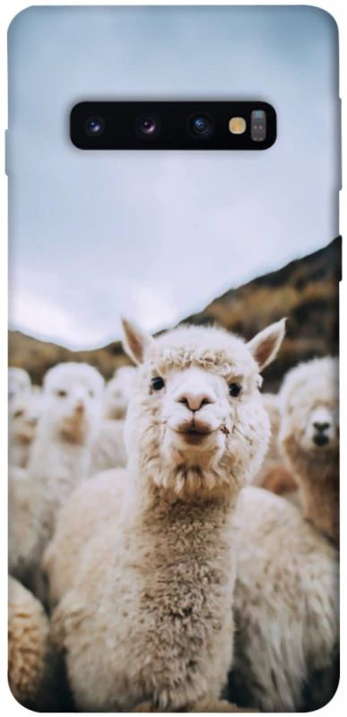 Чохол на Samsung Galaxy S10 Лама фото 1 з 1