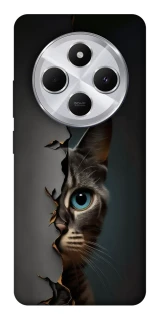 Чехол на Xiaomi Redmi 14C / Poco C75 Кот-подглядыватель v2 фото 1 из 1