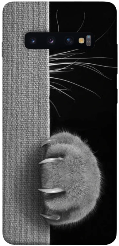 Чохол на Samsung Galaxy S10+ Spy Cat фото 1 з 1