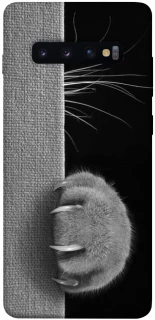 Чохол на Samsung Galaxy S10+ Spy Cat фото 1 з 1