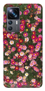 Чохол на Xiaomi 12T / 12T Pro Flowers v8 фото 1 з 1
