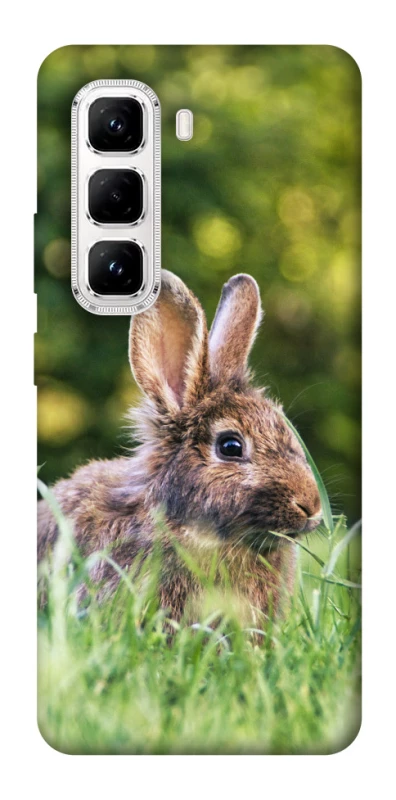 Чехол на Infinix Hot 50 Pro Кролики фото 1 из 1
