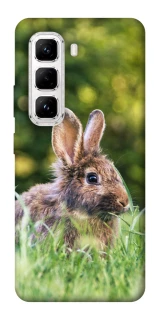 Чехол на Infinix Hot 50 Pro Кролики фото 1 из 1