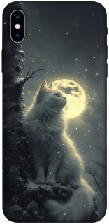 Чохол на Apple iPhone XS Max (6.5") Кіт під місяцем фото 1 з 1