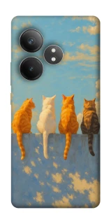 Чехол на Realme GT Neo 6 cats on wall фото 1 Чехол на Realme GT Neo 6 cats on wall фото 1 из 1