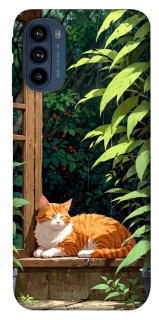 Чохол на Motorola Moto G41 red cat фото 1 з 1