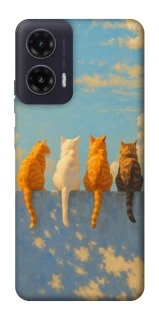 Чехол на Motorola Moto G35 cats on wall фото 1 Чехол на Motorola Moto G35 cats on wall фото 1 из 1