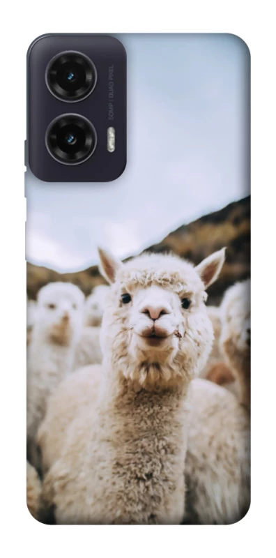 Чохол на Motorola Moto G35 Лама фото 1 з 1