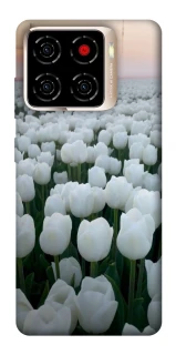 Чохол на ZTE Blade A56 Flowers v1 фото 1 з 1