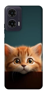 Чохол на Motorola Moto G35 Чохол Кошеня фото 1 з 1