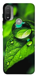 Чохол на Motorola Moto E20 Flowers v16 фото 1 з 1