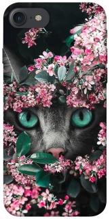 Чехол на Apple iPhone 7 / 8 (4.7") Кот в цветах фото 1 из 1