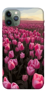 Чехол на Apple iPhone 11 Pro (5.8") Spring Awakening фото 1 из 1
