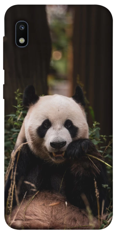 Чехол на Samsung Galaxy A10 (A105F) Панда фото 1 из 1