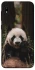 Чехол на Samsung Galaxy A10 (A105F) Панда фото 1 из 1