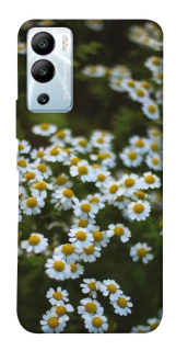 Чехол на Infinix Hot 12i Ромашки v13 фото 1 из 1