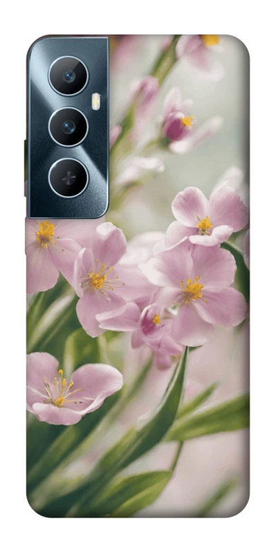 Чохол на Realme C65 4G Spring фото 1 з 1