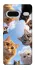 Чехол на Google Pixel 7 Cats фото 1 из 1