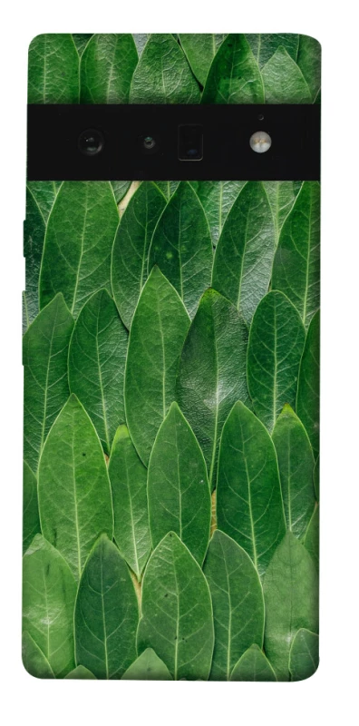 Чохол на Google Pixel 6 Pro Листя фото 1 з 1